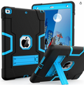 Apple iPad (9th Generation) Case (BLACK)