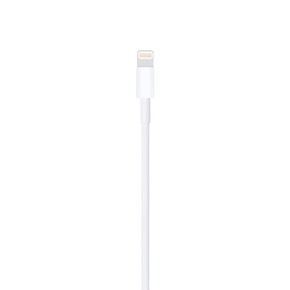 Apple IPhone Lightning Cable to USB (1m)